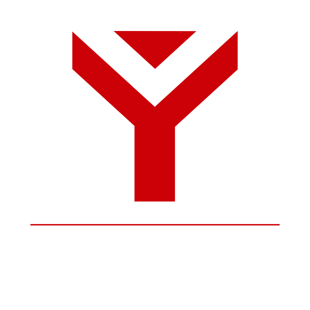 Logo Ufficiale YWS no cornice
